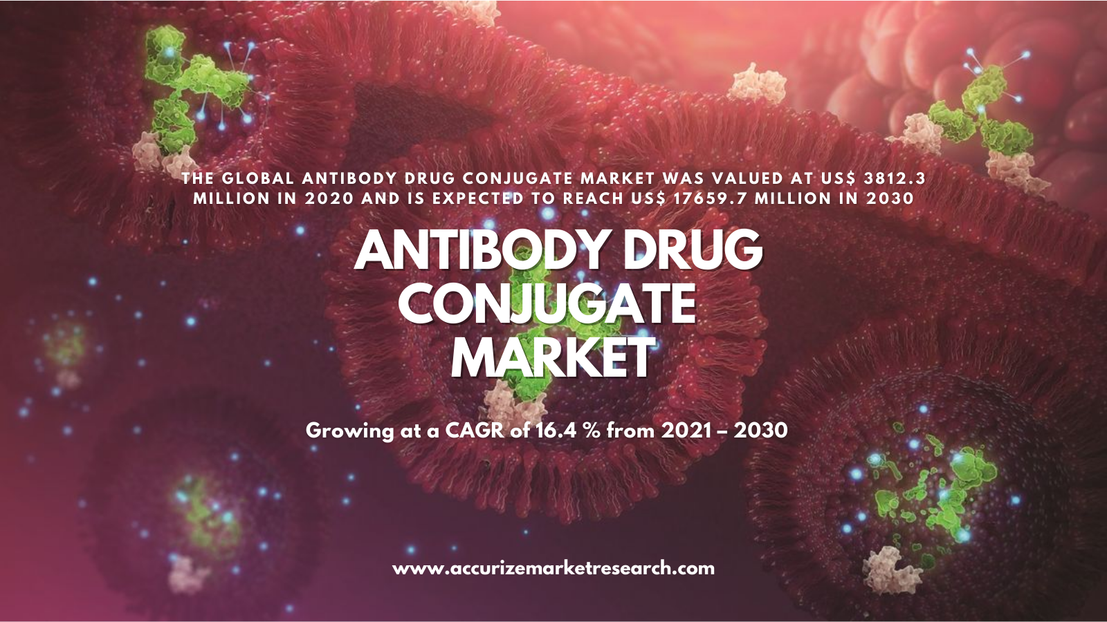 Antibody Drug Conjugate Market