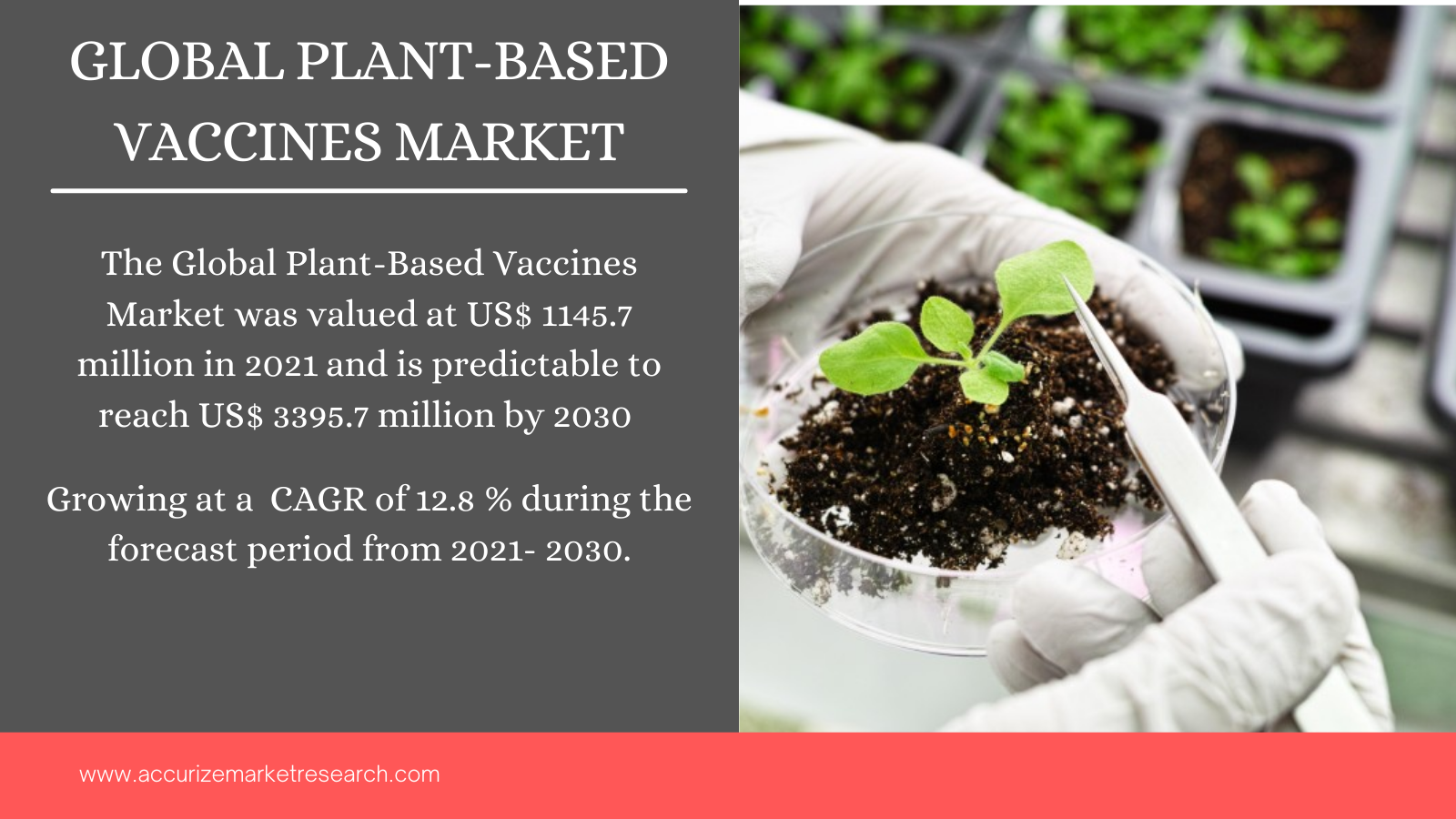 Global Plant-Based Vaccines Market
