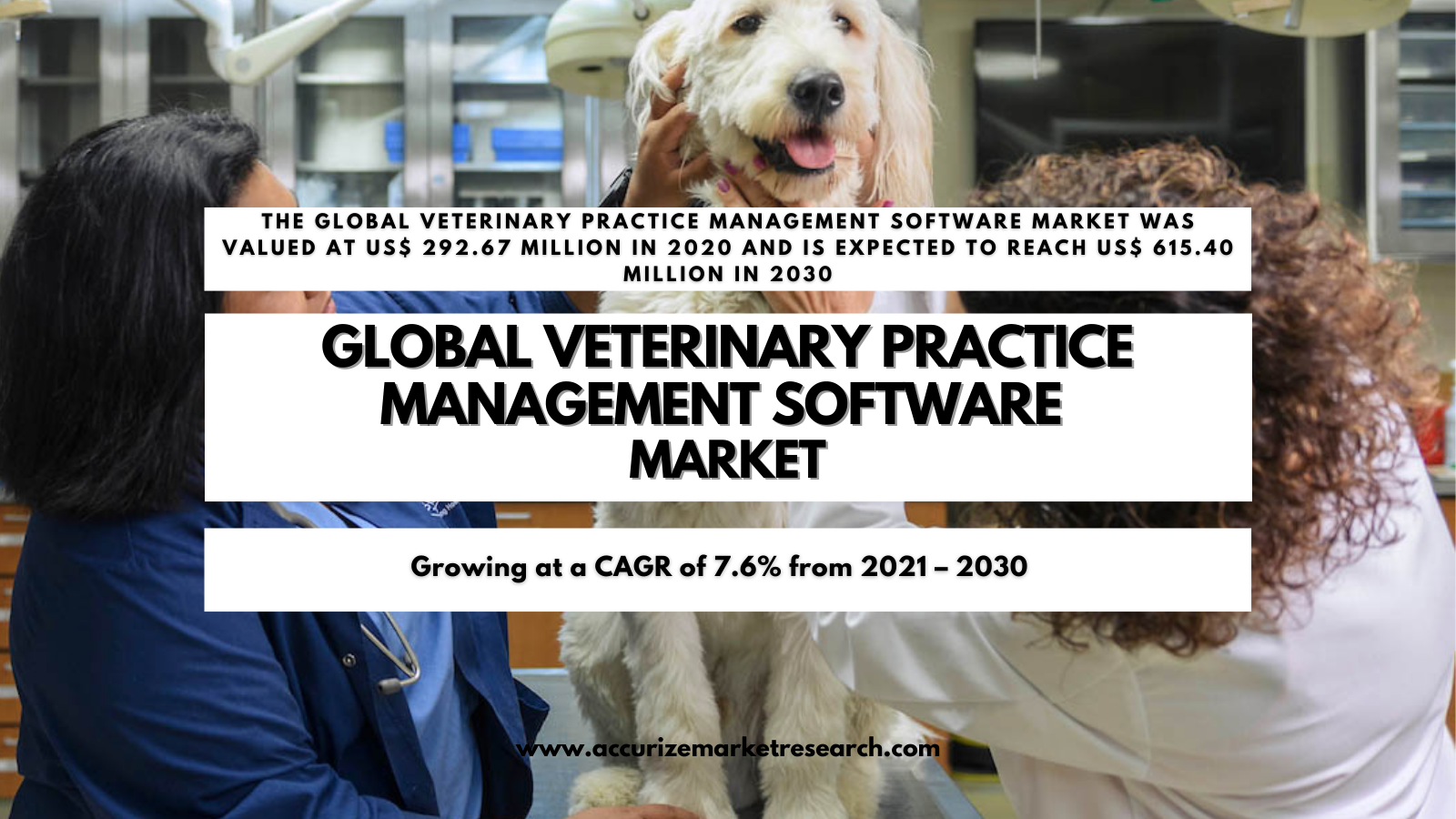 Global Veterinary Practice Management Software Market