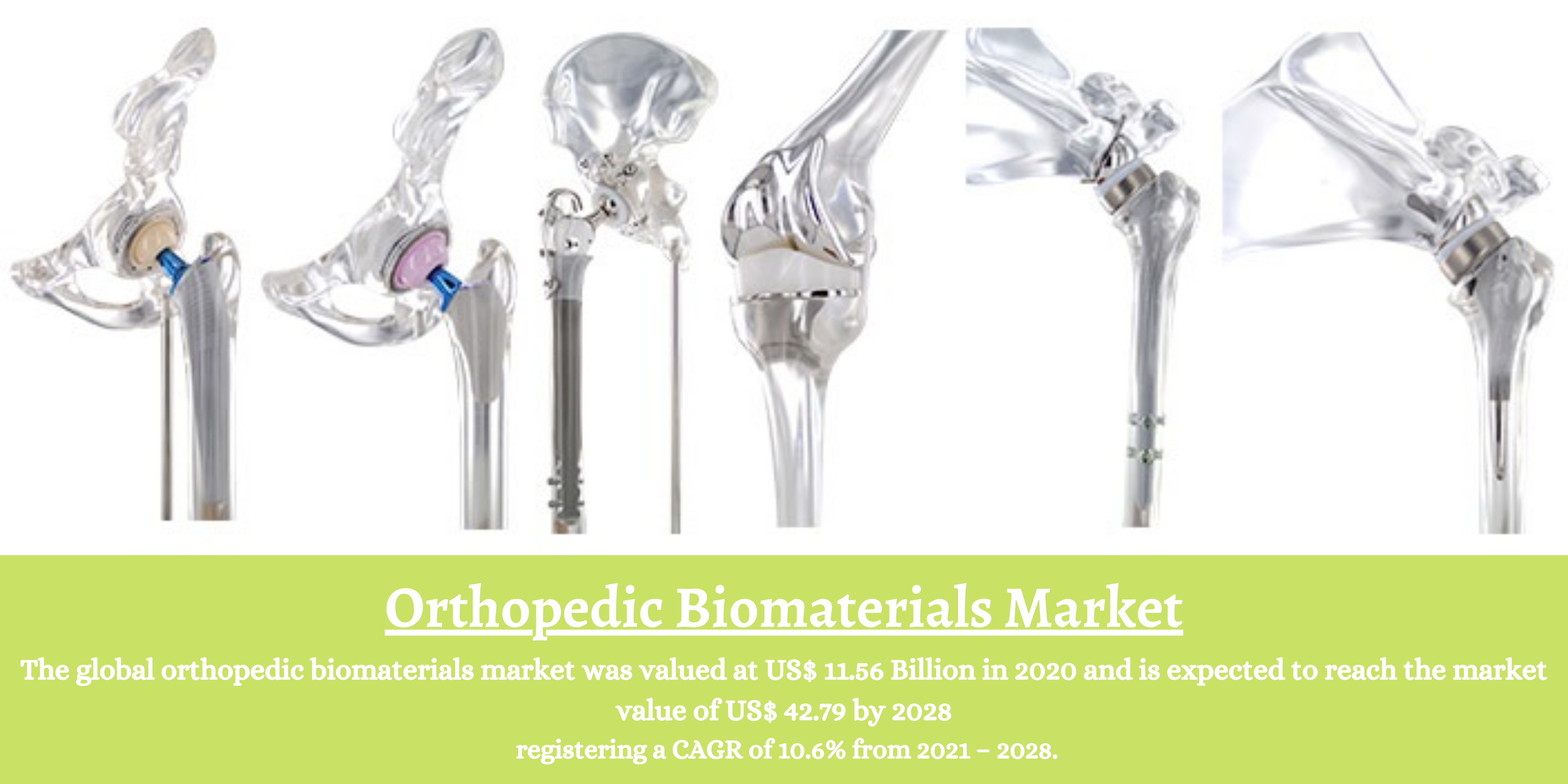 Orthopedic Biomaterials Market 
